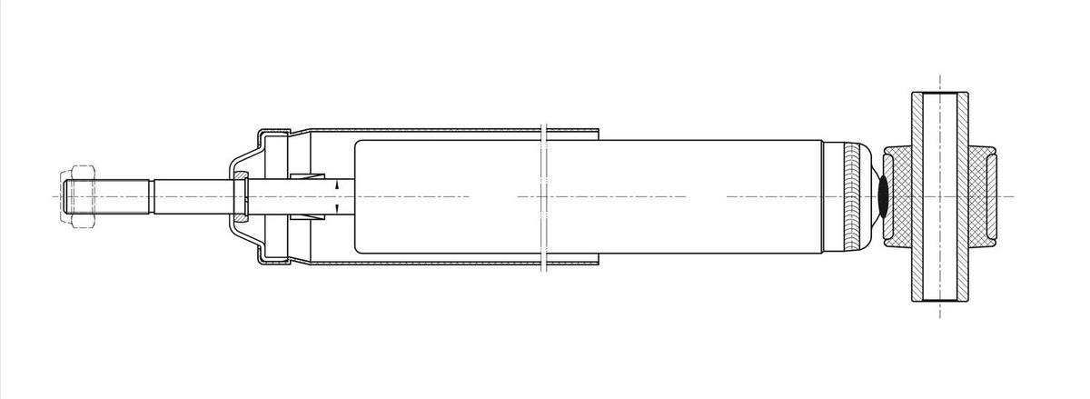 Амортизатор задний TRIALLI AG 10525 preview 2
