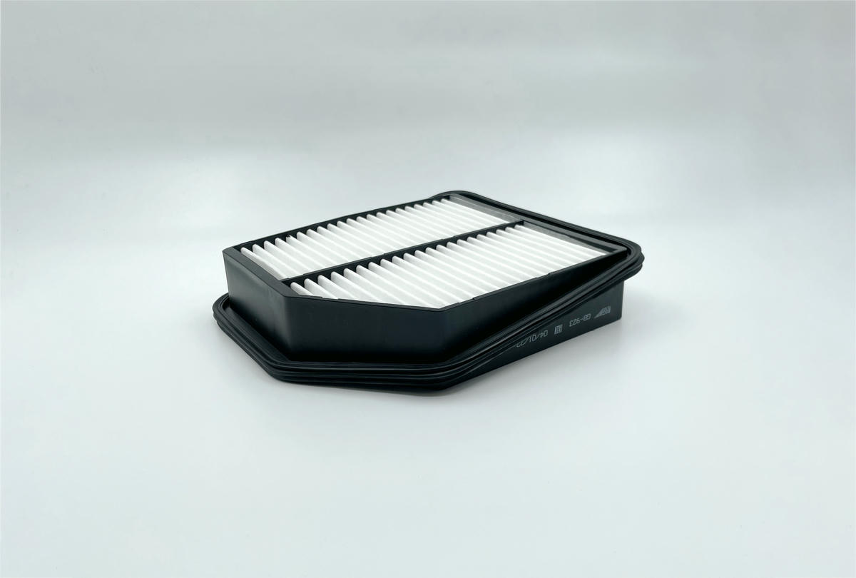 Фильтр воздушный BIG FILTER GB-923 preview 3