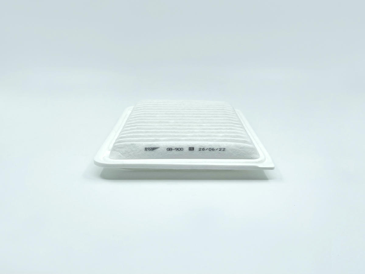 Фильтр воздушный BIG FILTER GB-900 preview 3