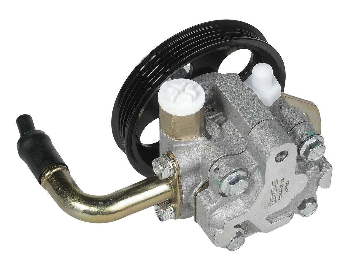 00-36413-SX_насос гидроусилителя руля! 95460406 Chevrolet Aveo T250 1.2 08> preview 6