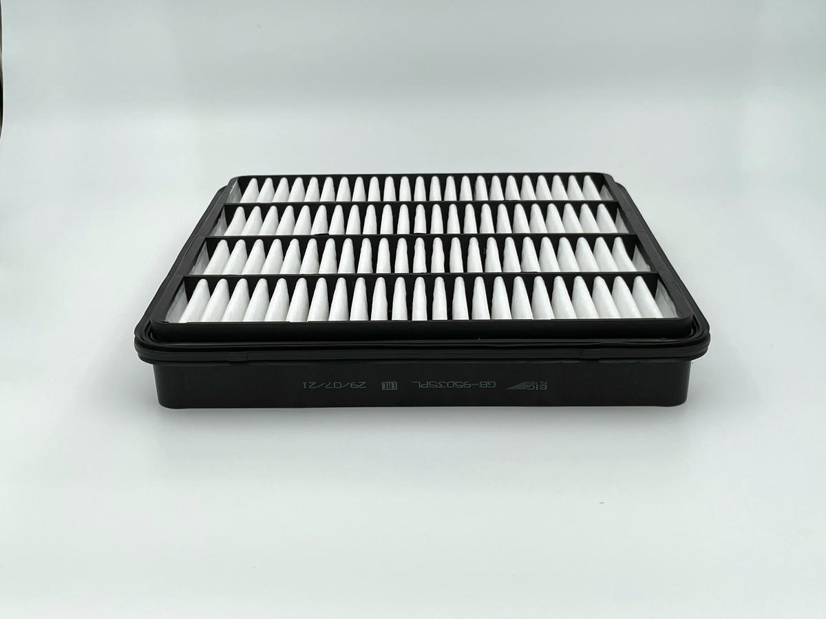 Фильтр воздушный BIG FILTER GB-95035PL preview 2