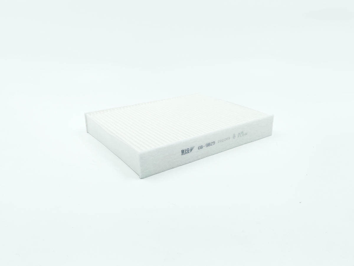 Фильтр салона BIG FILTER GB-9829 preview 3