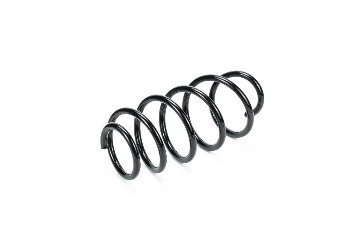 Пружина передняя SKODA OCTAVIA (A5 1Z-) (2004>) Metaco 4840-276 preview 2