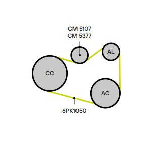 Натяжитель ремня TRIALLI CM5107 preview 4