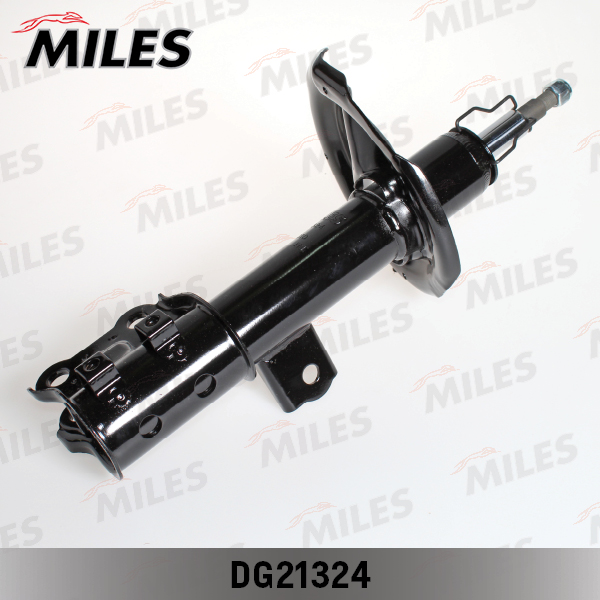 Амортизатор передний MILES DG21324 preview 3