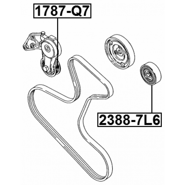 Ролик обводной приводного ремня (компл) AUDI Q7/VW Touareg 02-10 FEBEST 2388-7L6 preview 2