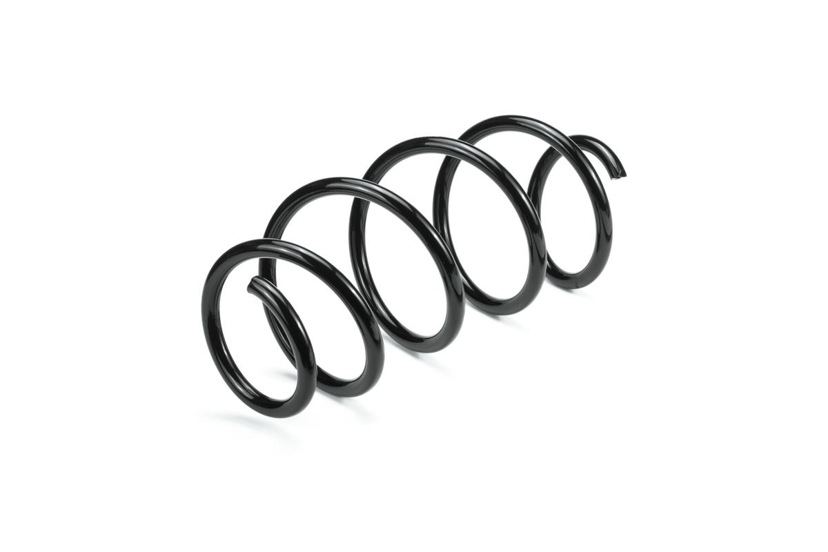 Пружина передняя VW TIGUAN (2011>) Metaco 4840-283 preview 2