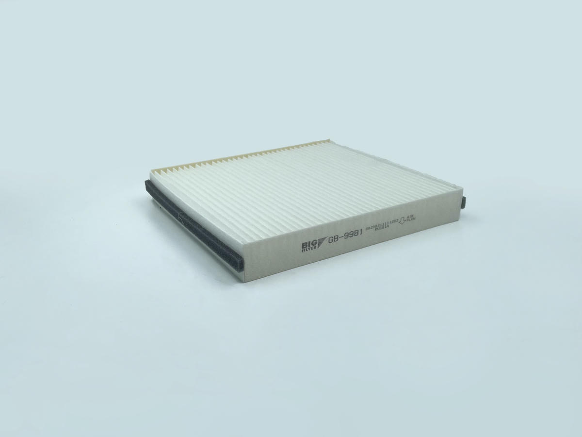Фильтр салона BIG FILTER GB-9981 preview 2
