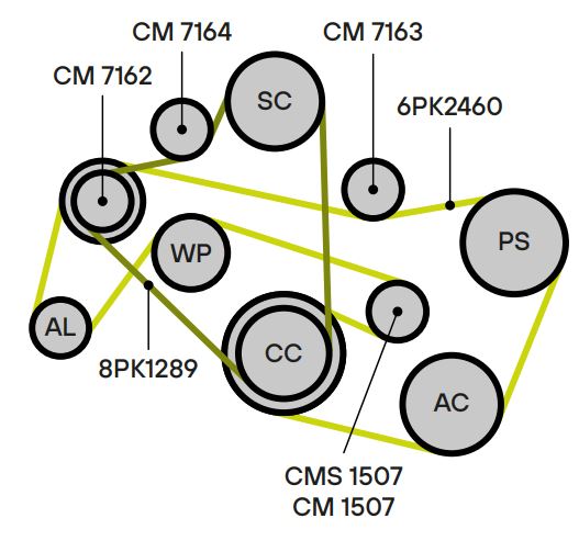 Ролик-натяжитель ручейкового ремня TRIALLI CMS1507 preview 3