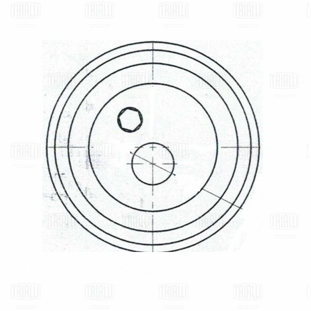 Ролик ГРМ TRIALLI CM 6096 preview 3