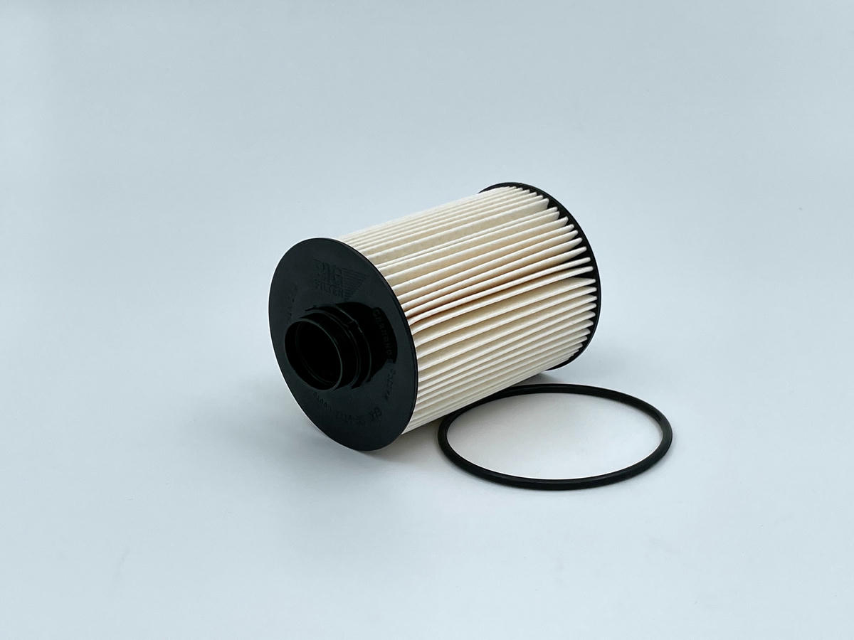 Фильтр топливный BIG FILTER GB-6222 preview 2