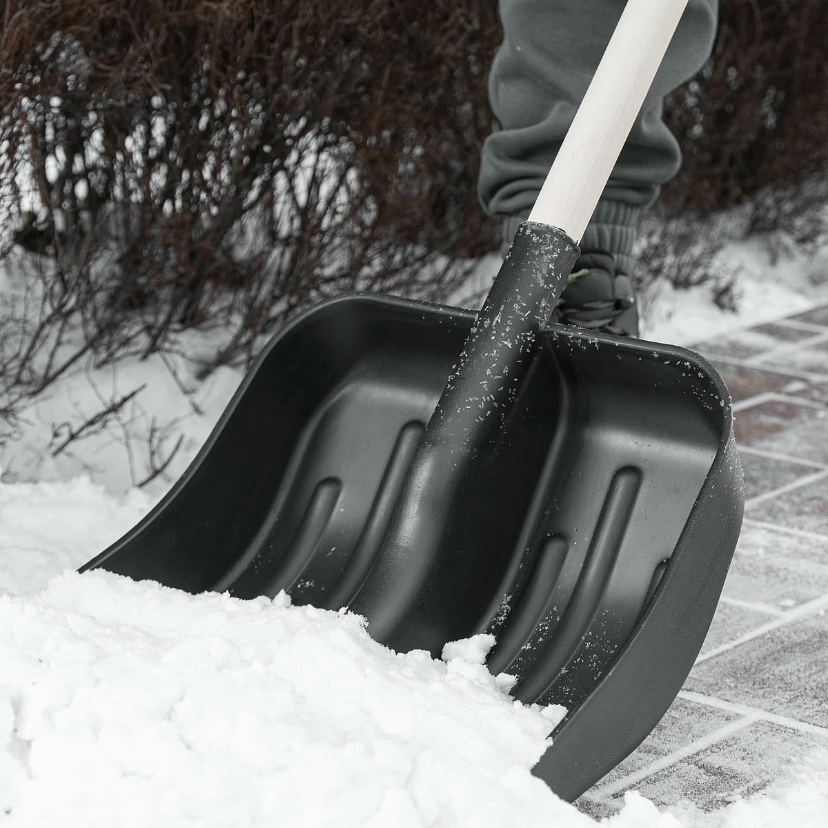 Лопата снеговая пластиковая 360х405х1550мм деревянный черенок СИБРТЕХ preview 8