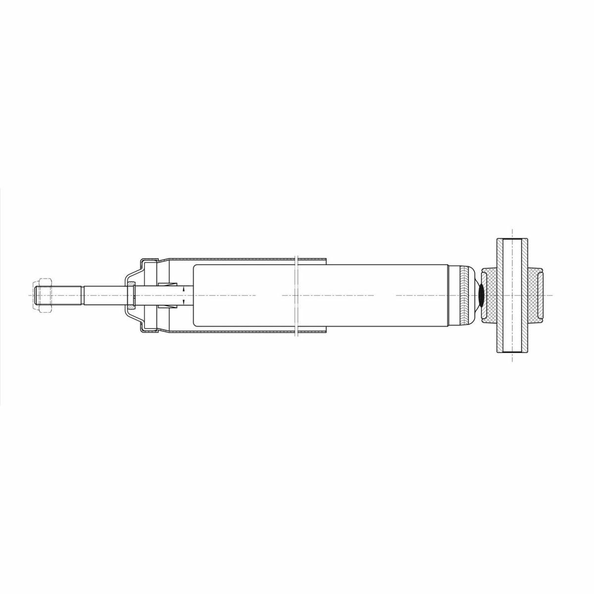Амортизатор задний TRIALLI AG 10525 preview 2