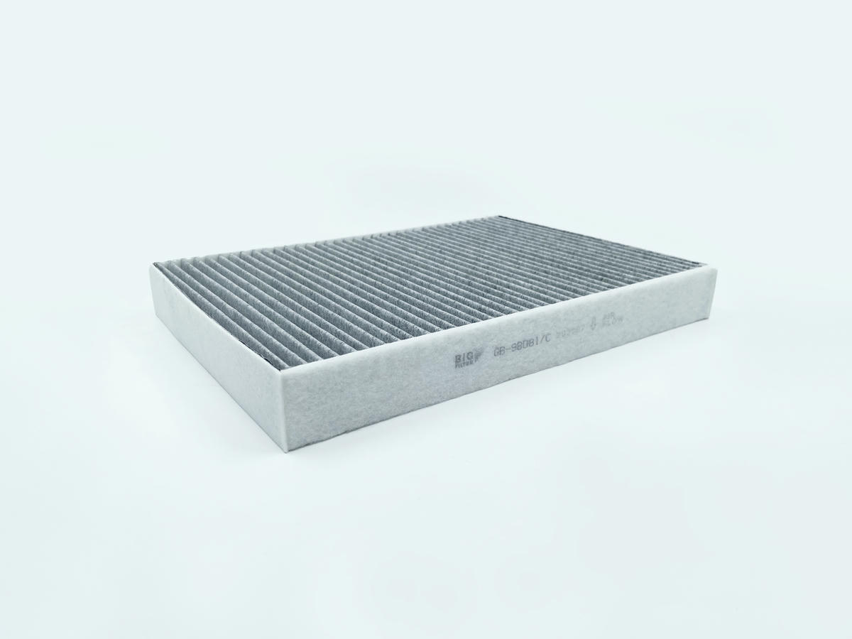 Фильтр салона BIG FILTER GB-98081C preview 2