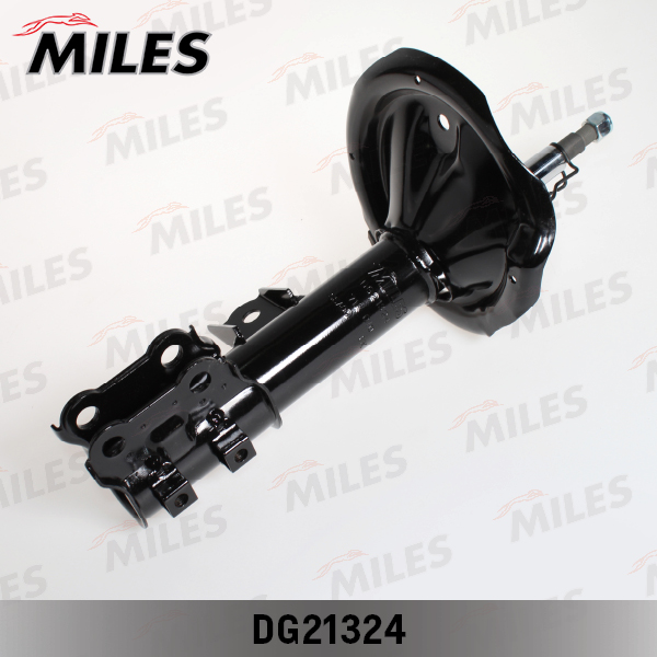 Амортизатор передний MILES DG21324 preview 2