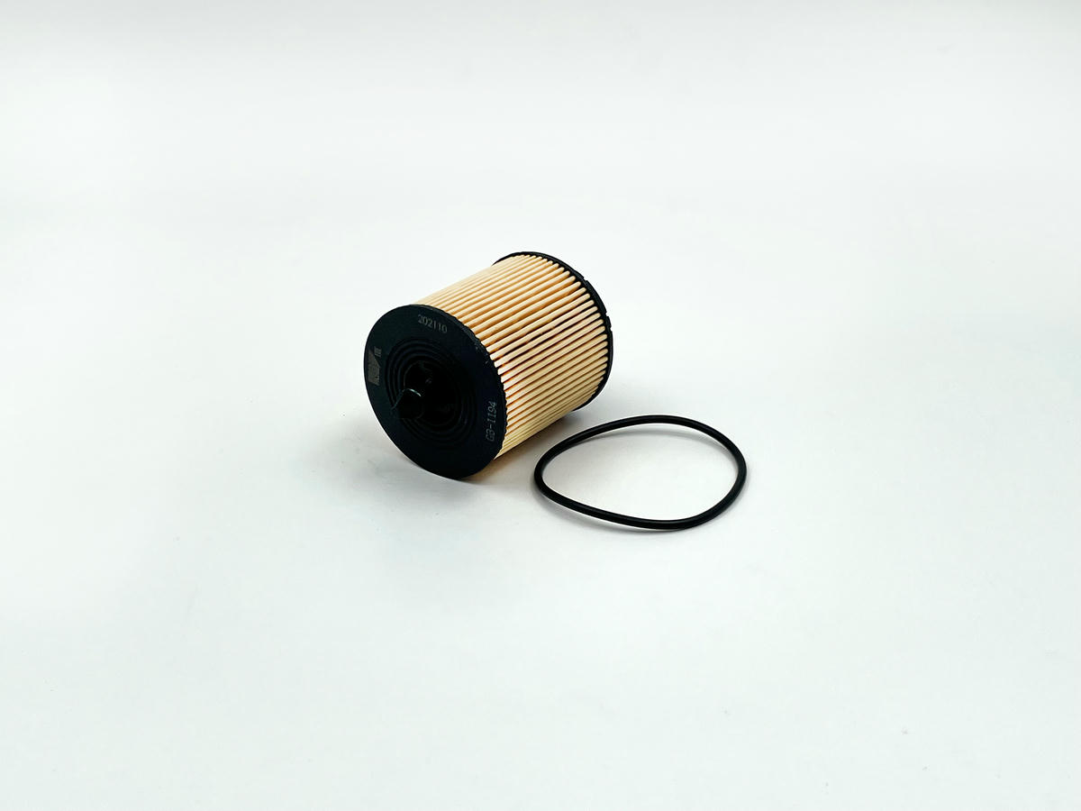 Фильтр масляный BIG FILTER GB-1194 preview 3