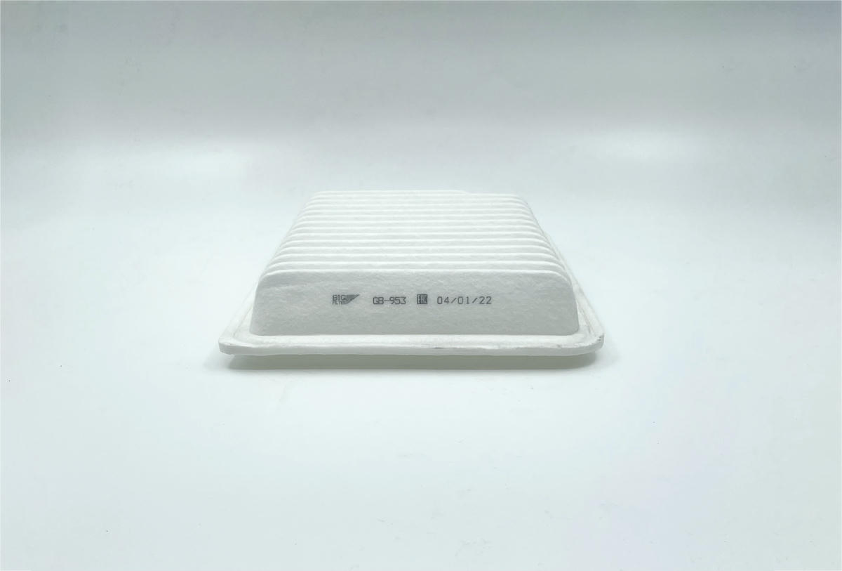 Фильтр воздушный BIG FILTER GB-953 preview 3