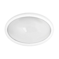 Светильник LED влагозащищённый 24LED 12Вт 220В овал Camelion