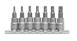 Набор бит 1/4" 7 предметов TS10-TS40 TORX с голокамиYATO