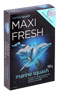 Ароматизатор водуха под сиденье MAXI FRESH (marine squash)