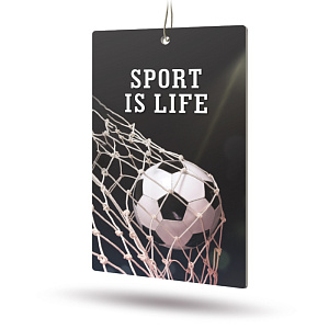 Ароматизатор AVS Sport is Life цитрус