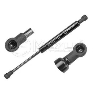 Газовый упор капота BMW X5 (E53) 00-06 фото