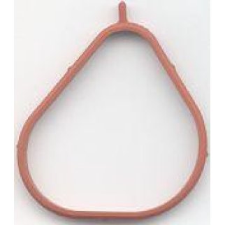 Прокл.впуск.кол-ра фото