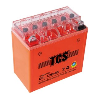 Аккумуляторная батарея TCS GEL 9 (12N9-BS) 136x76x134 фото