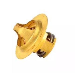 Термостат (92xC) фото