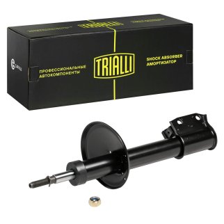 Амортизатор передний TRIALLI AG 09058 фото
