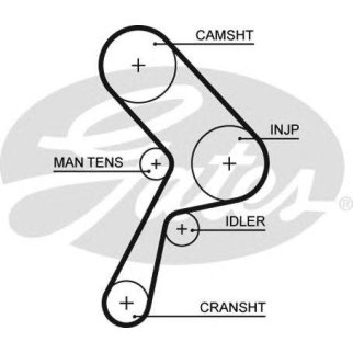 Ремень ГРМ 165 x 22 фото