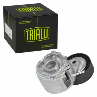 Натяжитель ремня TRIALLI CM5288 фото 2