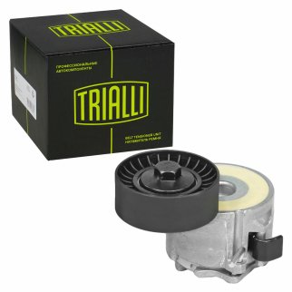 Натяжитель ремня TRIALLI CM5288 фото