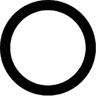 Прокладка впускного коллектора CORTECO 026453H фото