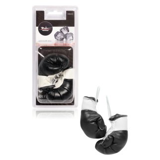 Ароматизатор AirLine AFB0205 фото