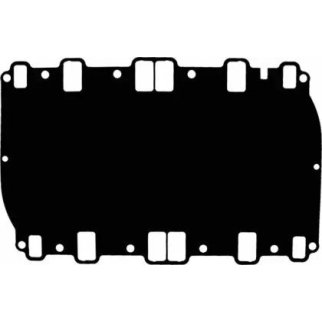 Прокладка впускного коллектора Victor Reinz 71-35528-00 фото