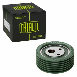Ролик-натяжитель TRIALLI CM170 фото