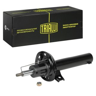 Амортизатор передний TRIALLI AG 18059 фото