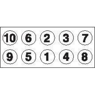 К-кт болтов головки блока Payen HBS005 фото