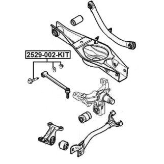 Болт с эксцентриком PEUGEOT 406 FEBEST 2529-002-KIT фото 2