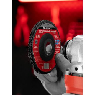 Круг лепестковый торцевой, P 25, 115x22,2 мм MATRIX 74026 MATRIX 74026 фото 5