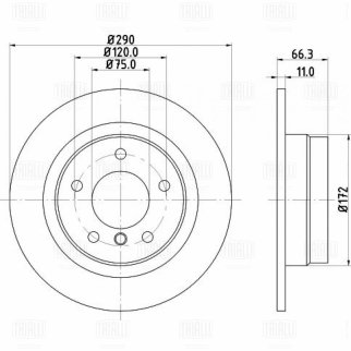 Диск тормозной задний TRIALLI DF 261009 фото 3