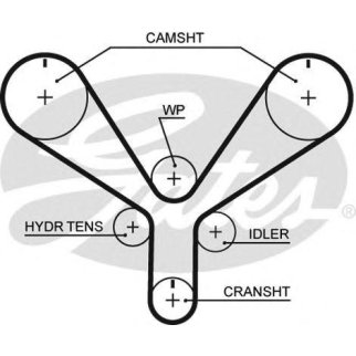Ремень ГРМ HONDA ACCORD Mk VII купе (CG) 3.0 V6 24V (CG2) [1998/02-2003/06] фото