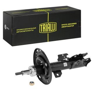 Амортизатор передний правый TRIALLI AG 19357 фото