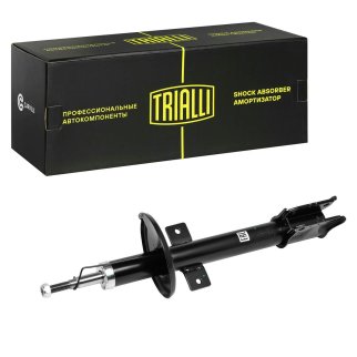 Амортизатор задний TRIALLI AG09504 фото