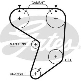 Ремень ГРМ 159-8-1272x1 TO Supra 3.0T фото