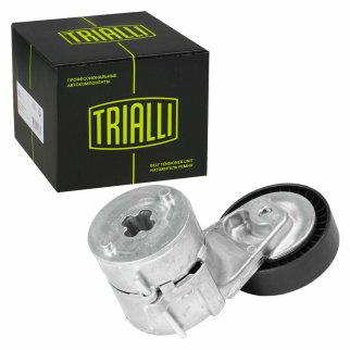 Ролик-натяжитель ручейкового ремня TRIALLI CM2107 фото 2