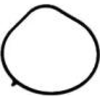 Прокладка впускного коллектора Victor Reinz 71-36686-00 фото