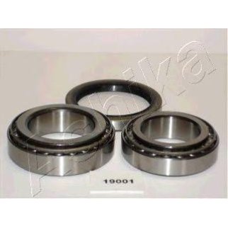 Подшипник ступицы (к-кт) ashika 44-19001 фото