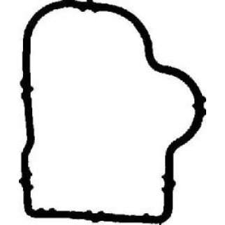 Прокладка впускного коллектора Victor Reinz 71-36203-00 фото